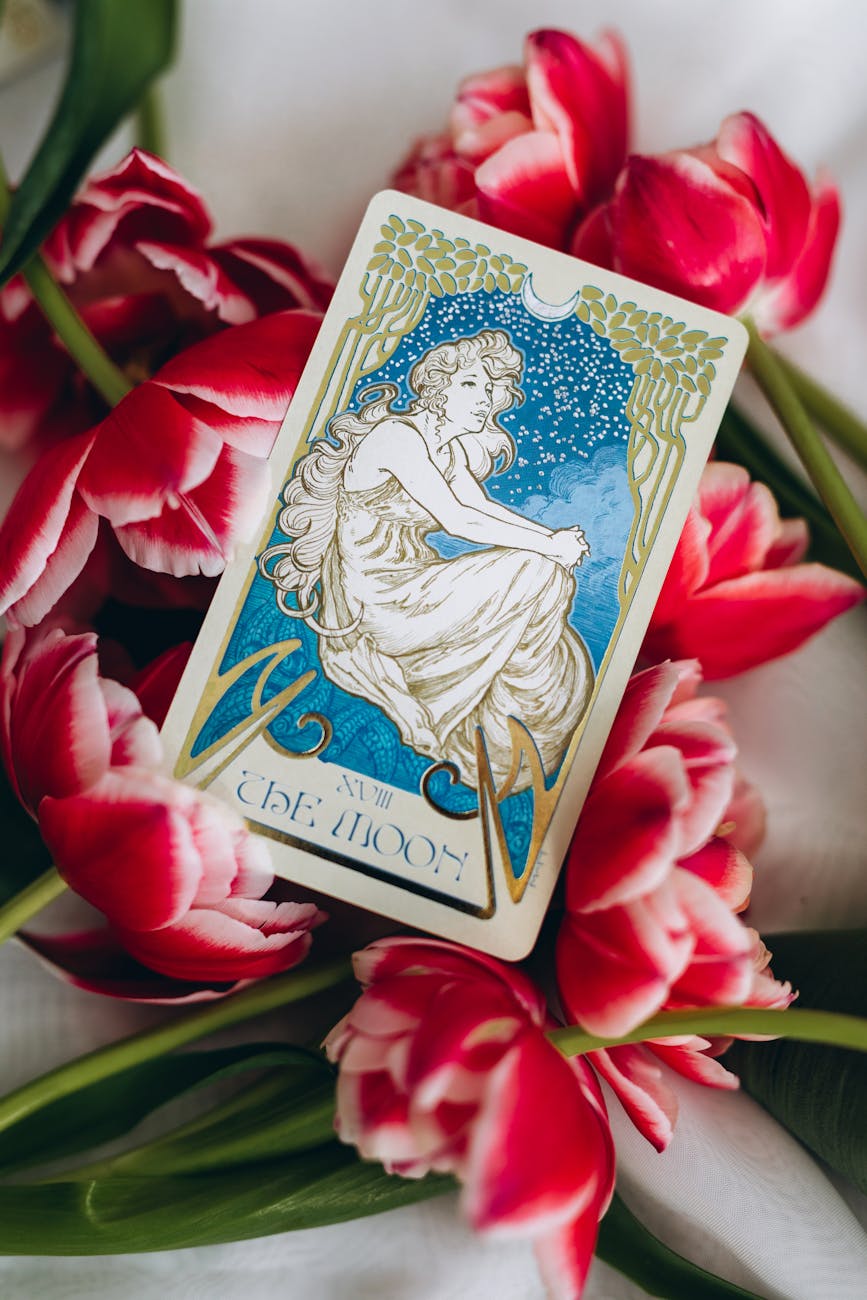 chariot tarot card lying among red tulips